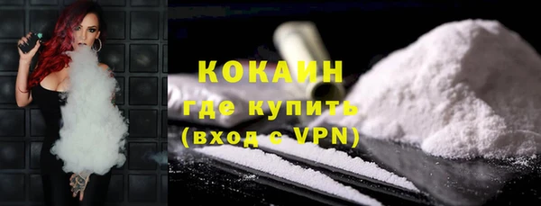 ГАЛЛЮЦИНОГЕННЫЕ ГРИБЫ Ладушкин