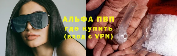 ГАЛЛЮЦИНОГЕННЫЕ ГРИБЫ Ладушкин