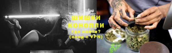 ГАЛЛЮЦИНОГЕННЫЕ ГРИБЫ Ладушкин