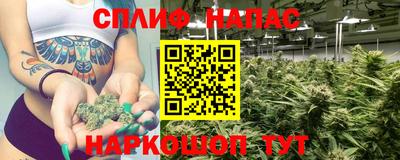 индика Кимры