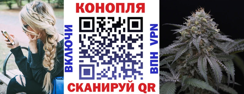 Каннабис сатива  как найти закладки  Малгобек 